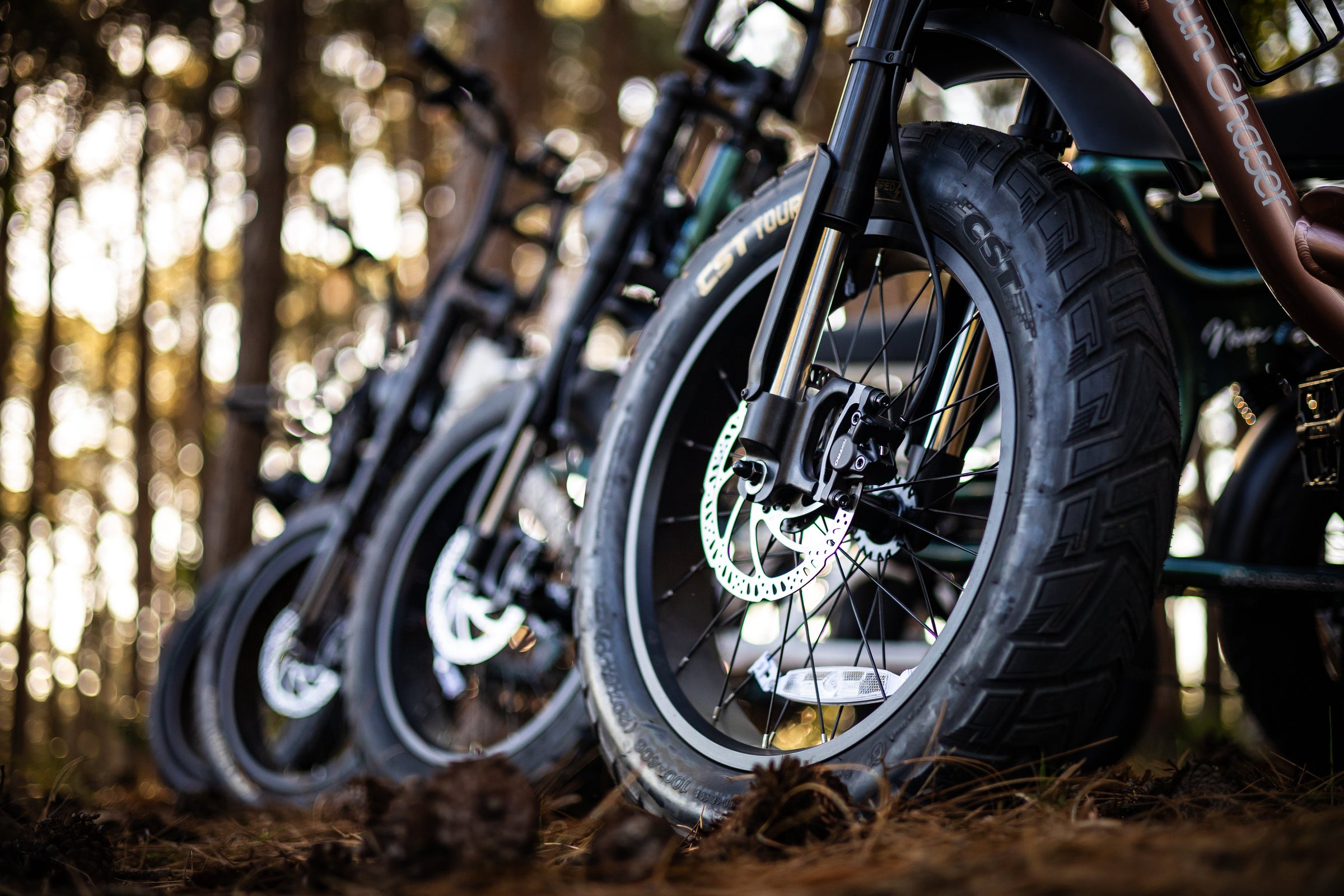 Wheels Sun Chaser Ebikes