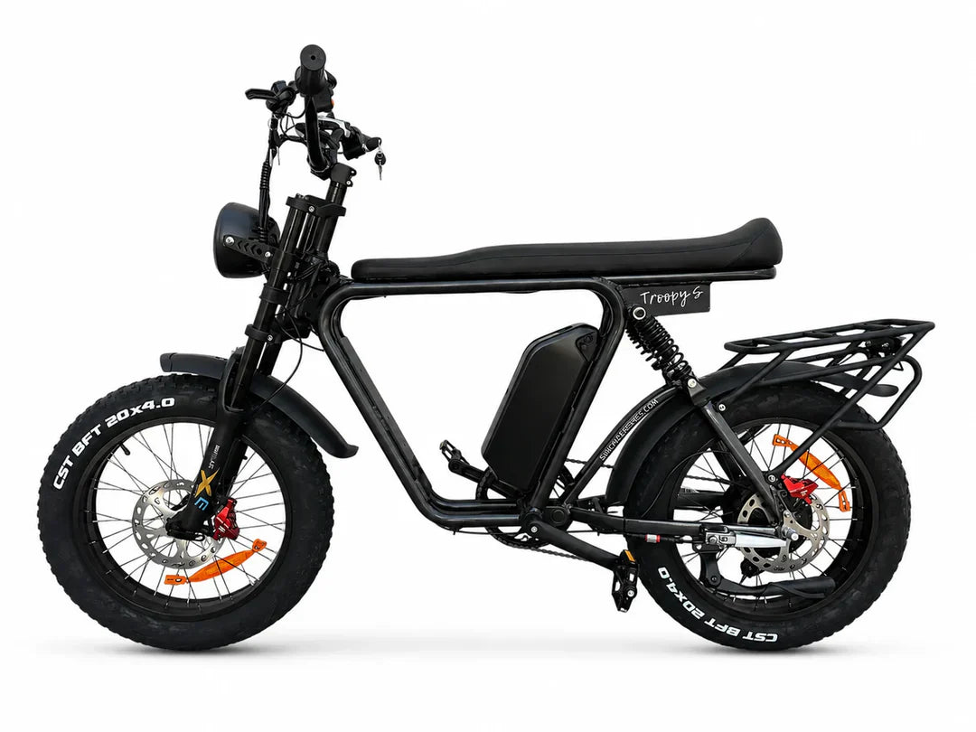 Troopy S Family Cargo eBike