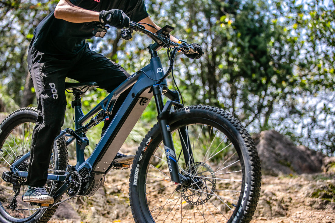eMTB Sun Chaser Ebikes