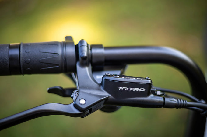 Throttles Sun Chaser Ebikes