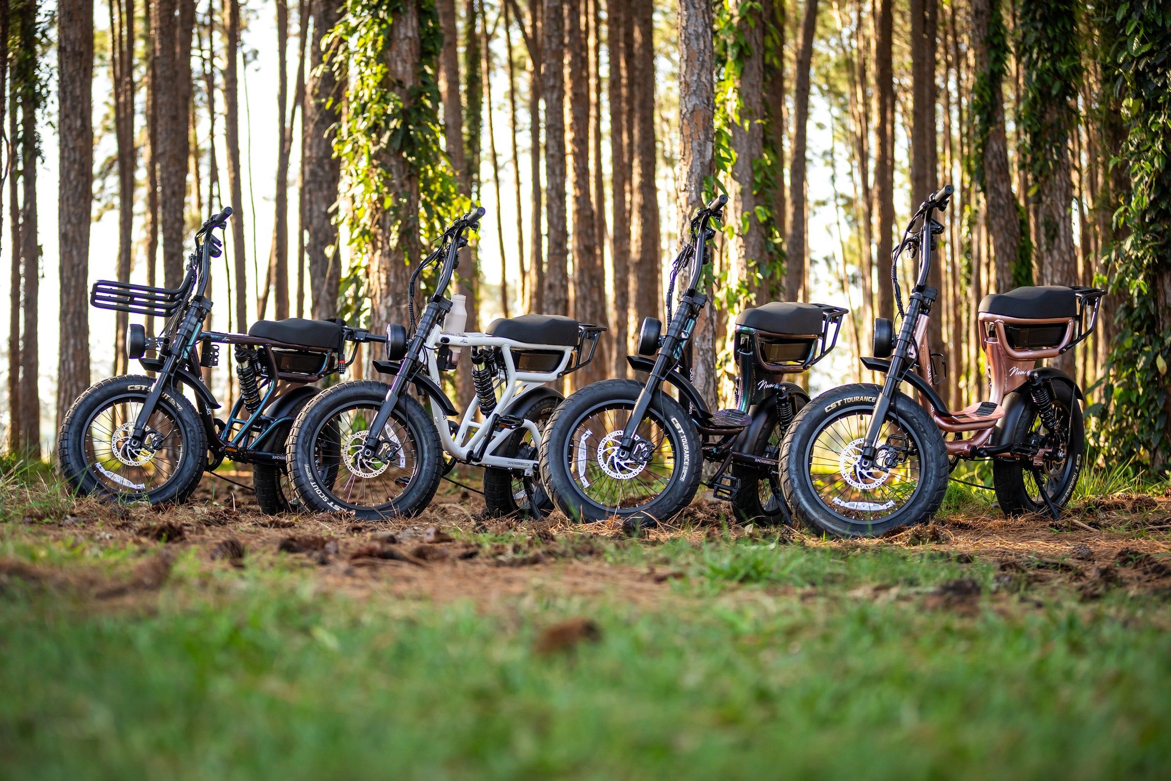 Our Ebikes Selection