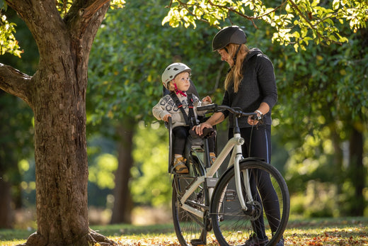 eBike-Accessories-Preview Sun Chaser Ebikes