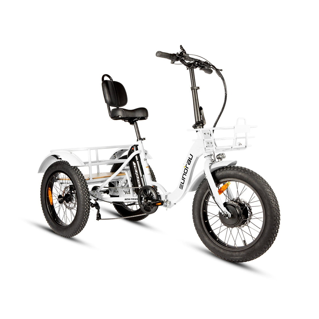 ONE-TRIKE 2.0 Sun Chaser Ebikes