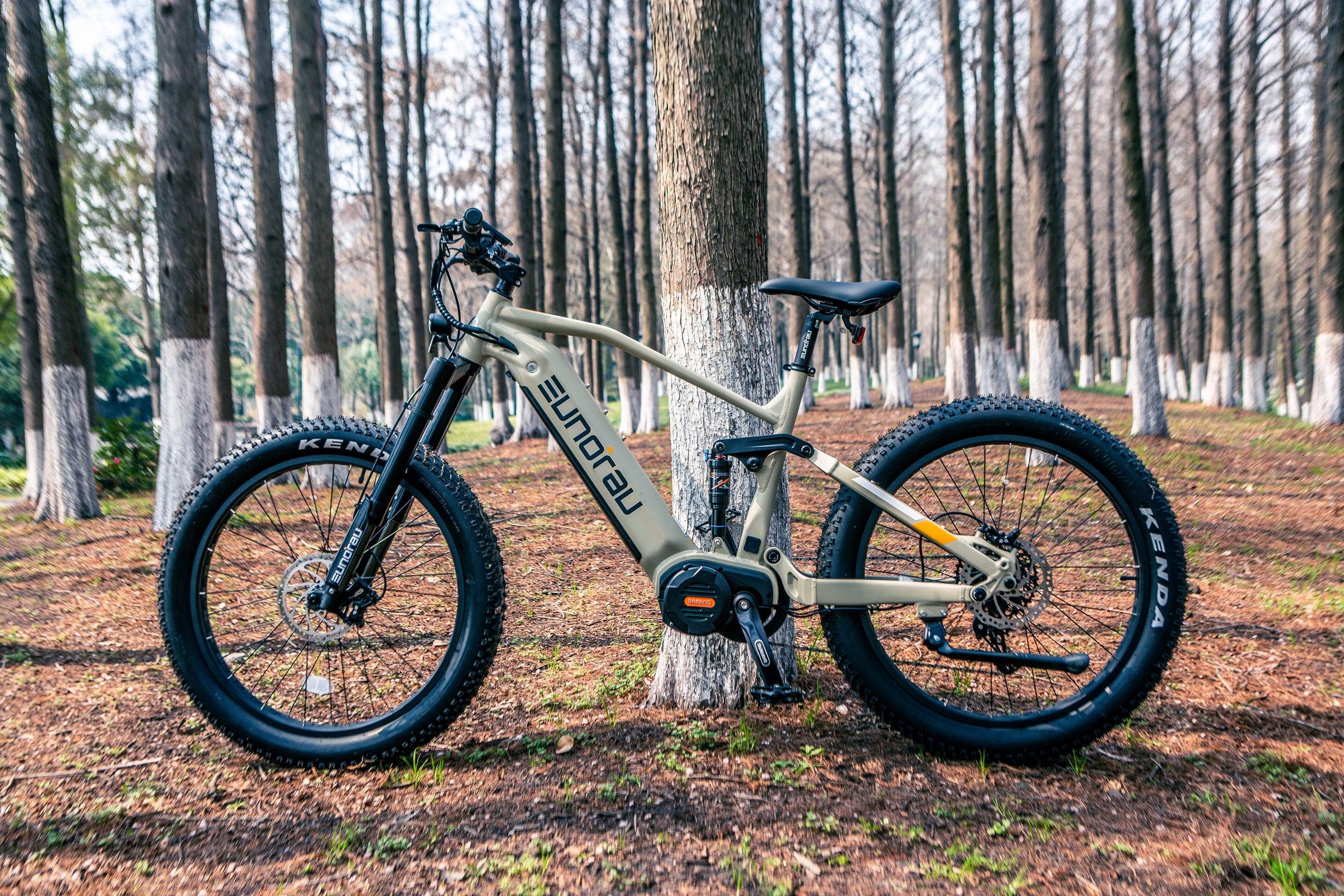 electric bicycle gold coast Rentals in Surf City (Huntington Beach, California) Zack's by the Beach Coast is the ONLY electric belt drive beach cruiser on the market! SunChaser Ebikes: Premium Electric Bikes