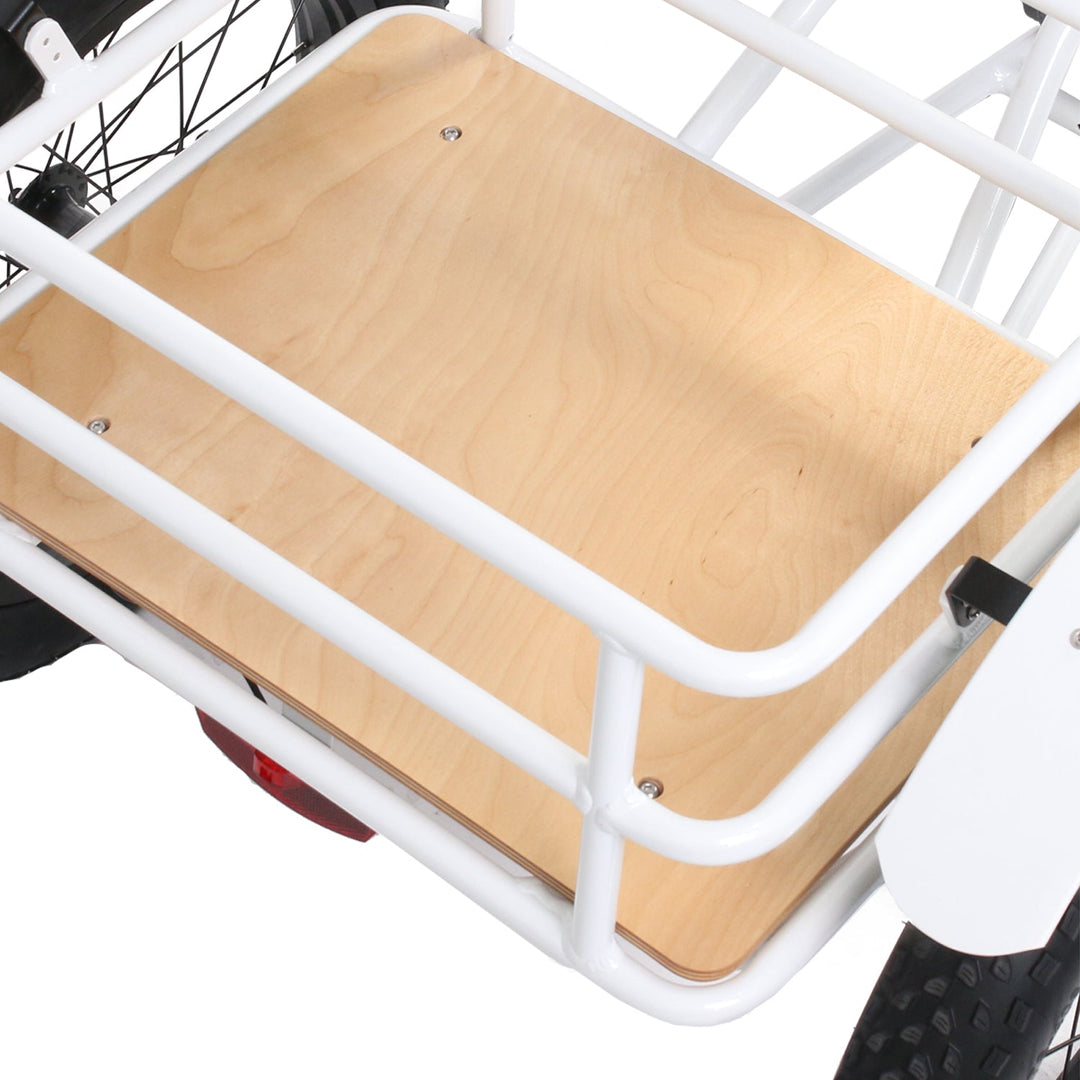 ONE-TRIKE 2.0 Sun Chaser Ebikes