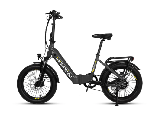 META20 X2.0 Sun Chaser Ebikes