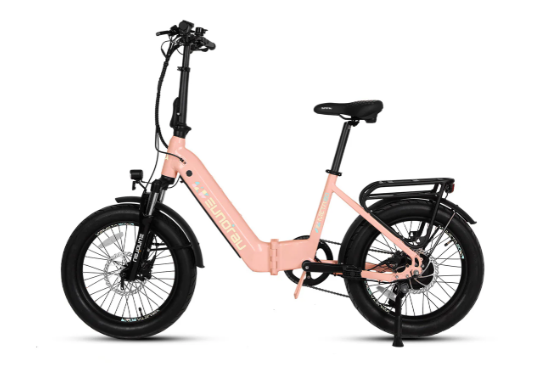 META20 X2.0 Sun Chaser Ebikes
