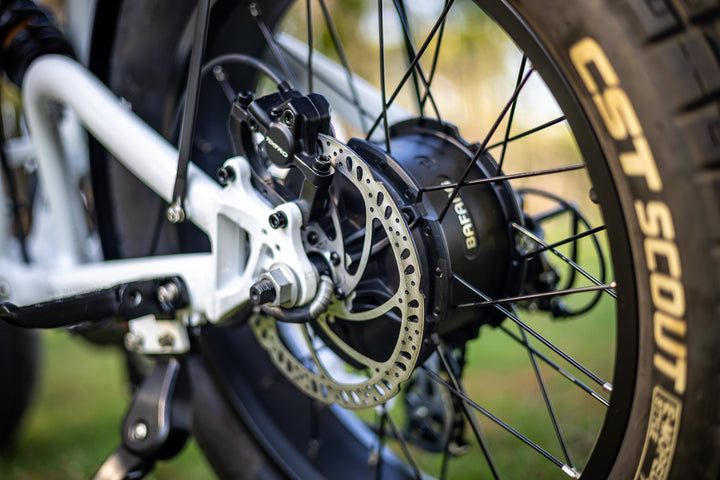 Alpha Sun Chaser Ebikes