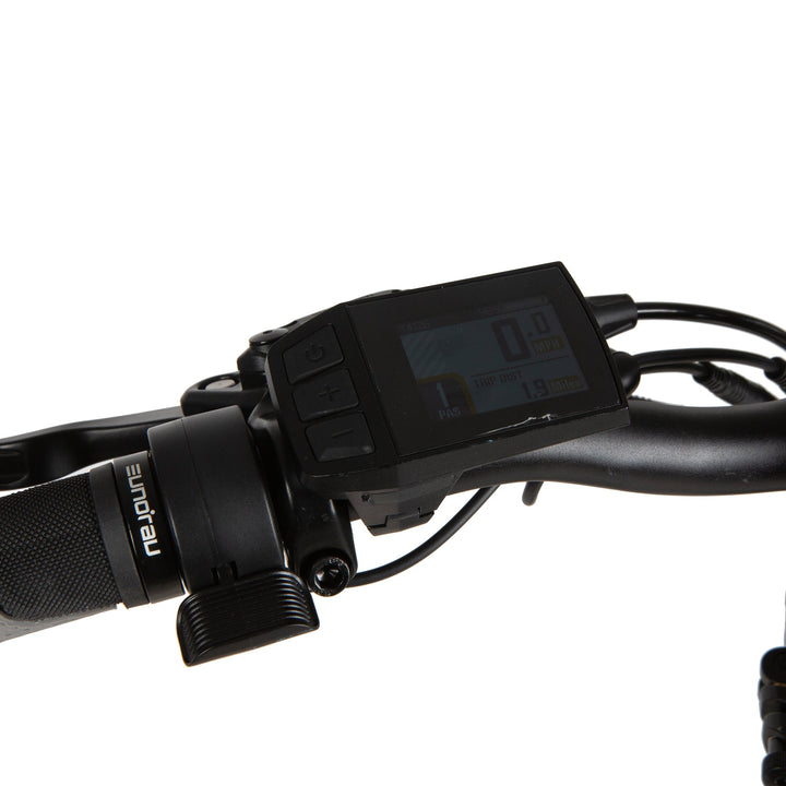 META20 X2.0 Sun Chaser Ebikes