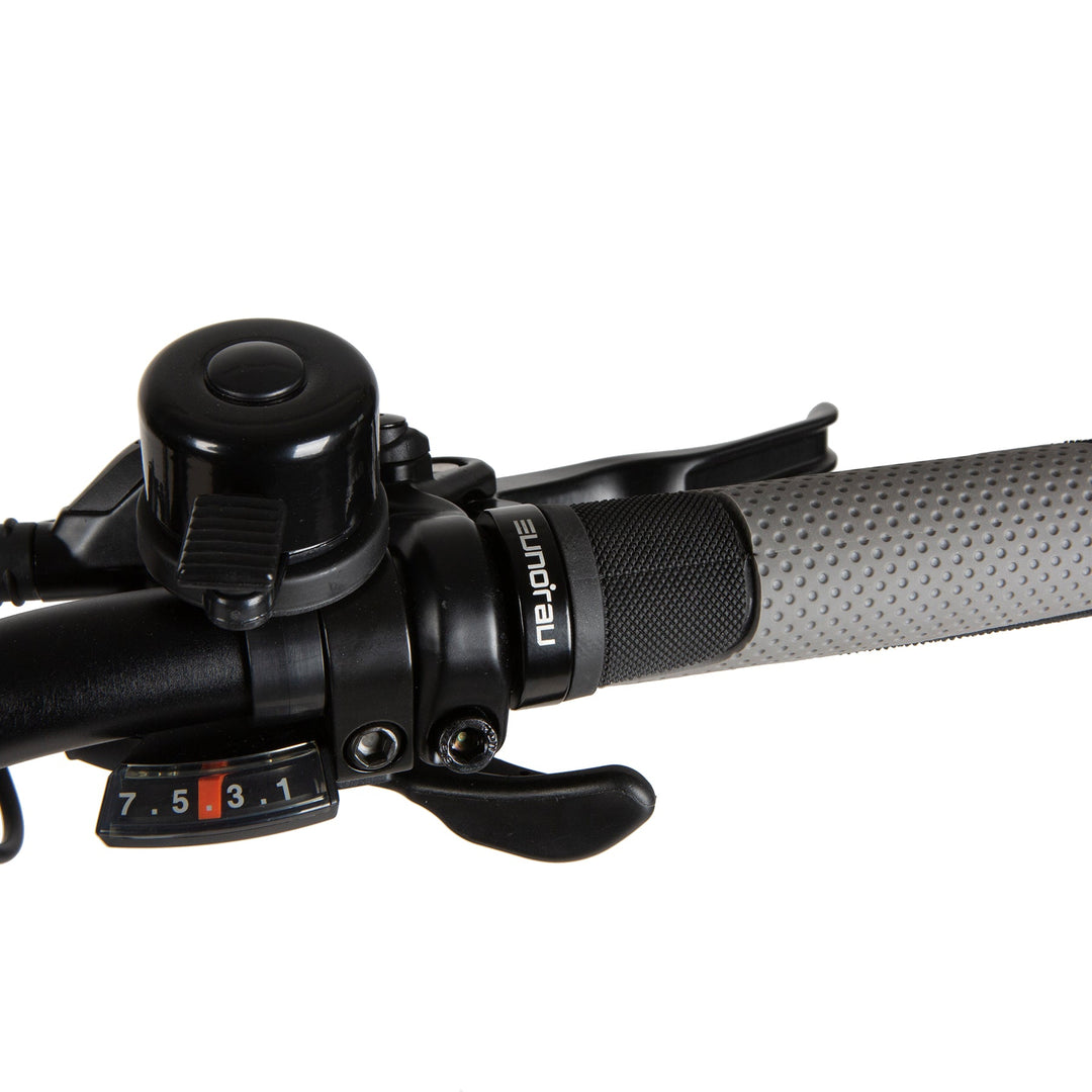 META20 X2.0 Sun Chaser Ebikes