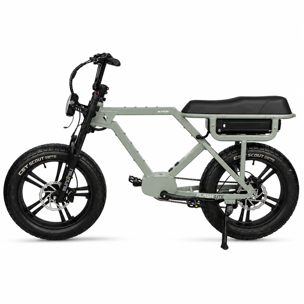 EUNORAU Flash Lite 2.0 Long-Range Fat Tire eBike Sun Chaser Ebikes