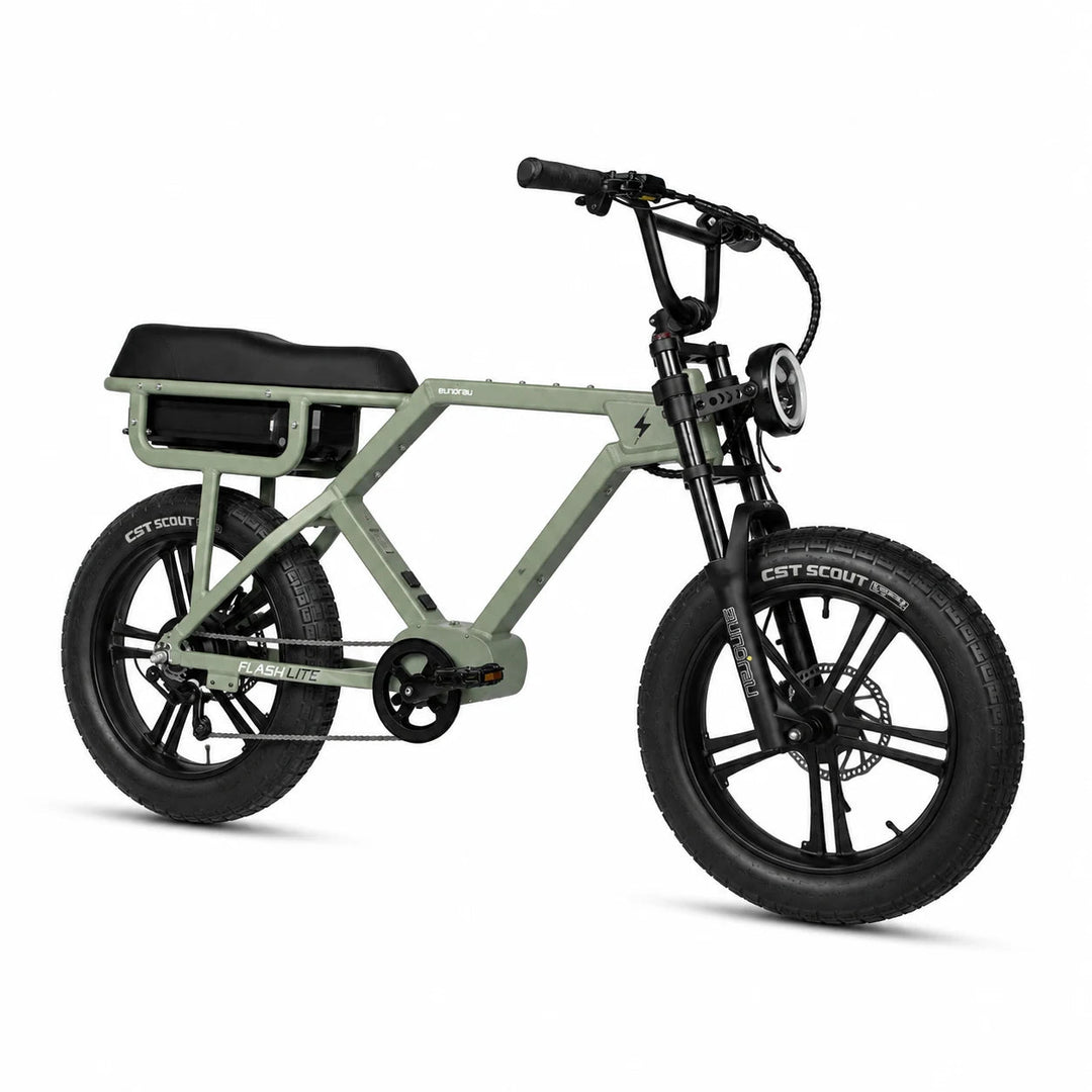 EUNORAU Flash Lite 2.0 Long-Range Fat Tire eBike Sun Chaser Ebikes