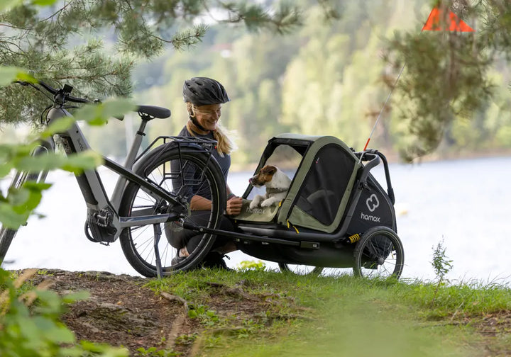 Hamax Pluto M dog trailer on a bike ride with a dog inside