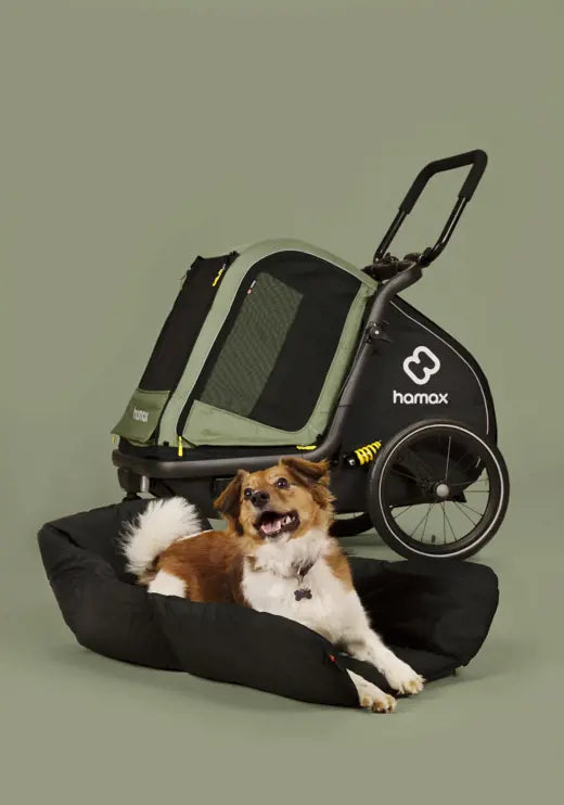 Hamax Pluto M dog trailer used as a stroller with a dog