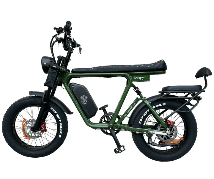 padded child back seat for electric bikes Gold Coast Australia