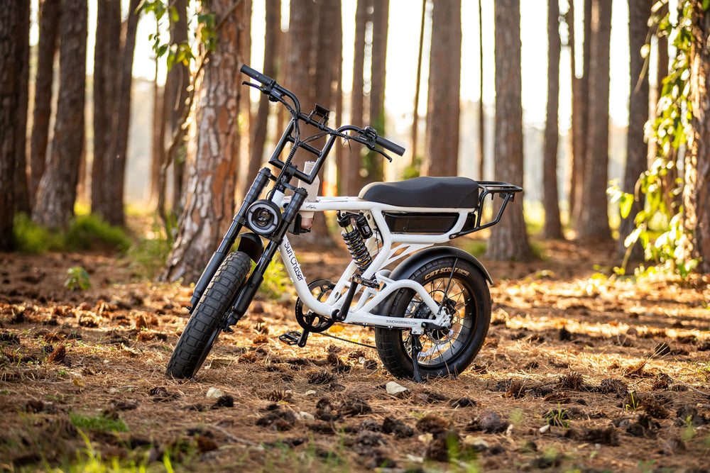 Alpha Sun Chaser Ebikes