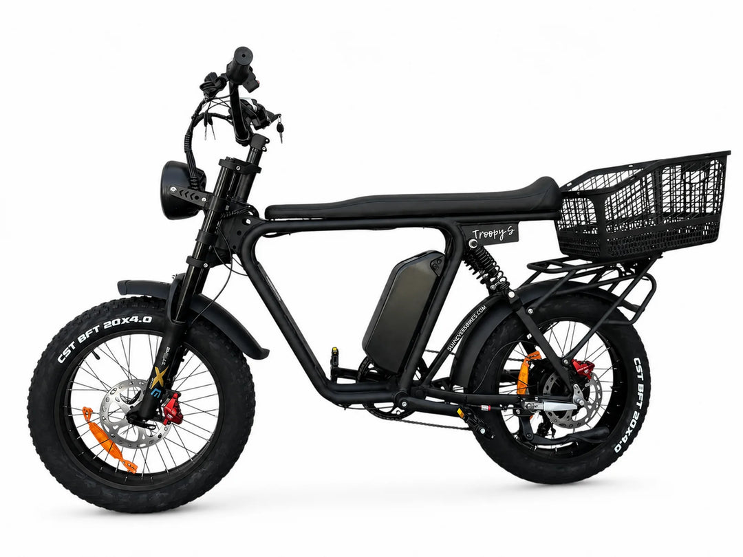 versatile ebike 2 seater 